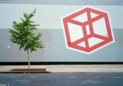 SONGMICS 8-Cube Closet Organizer